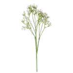 White Baby Breath Stem