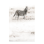 Stance Art Print - Premium Stretched Canvas A2