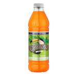 Caribbean Tropical Flavoured Drink Concentrate 1LT