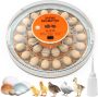 Chicken Egg Incubator With Auto Egg Turner&digital Control Bird
