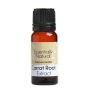 Carotene Extract - 50ML