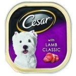Cesar 100G Wet Food Tin With Lamb