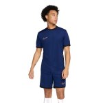 Nike Men's Academy 25 Jersey