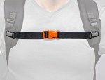 Chest Belt