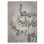 Shadowplay 2 Art Print - 100CM X 150CM No Frame Print Only