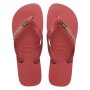 Kids Brazil Logo Pau Brazil