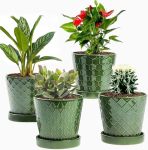 Efispss Flower Planter 5 Inch Ceramic Plant Pots With Drainage Hole And Ceramic Tray - Gardening Home Desktop Office Windowsill