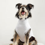 Cloudy With A Chance Of Cuddles Dog Jersey - Xxs Extra Length