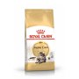 ROYAL CANIN Maine Coon Adult Cat - 4KG