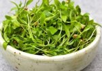Salad Coriander Butter Leaves With Coriander 120G P