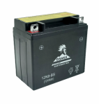BV028 – Battery Motorcycle.power Sport.maintenance Free. 12 Volt 9AH.