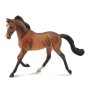 Thoroughbred Bay Mare