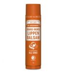 Lip Balm Orange Ginger 4G
