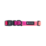 Lexi Collar - Dog Collars - Medium