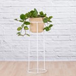 Hoya Obovata - In Blush Migo Planter With White Orion Plant Stand