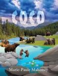 Coco Hardcover