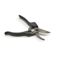 Pruning Shears