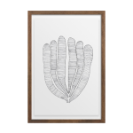 Algae Art Print - A4 210 X 297MM Framed - Kiaat Frame