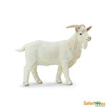 Farm Billy Goat
