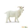 Farm Billy Goat