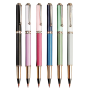 Morandi Calligraphy Pens For Writing Beginners Chinese Brush Pens