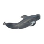 - Pilot Whale