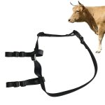 V34 V44 Cattle Locator Set Animal Tracking Anti-lost Device Gps Positioning Collar Set