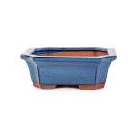 Assorted Glazed Bonsai Pots 8" - Blue Rectangle With Decorative 21 X 17 X 7CM