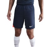 Nike Men's Strike Short
