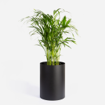 Emerging Creatives Round Sven Floor Planter - Black
