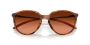 Oakley Women's Sielo Sunglasses