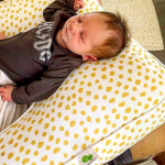 Delicious Monsters Feeding Pillows - Mustard Spot