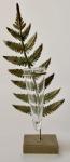 Test Tube Fern Vase 37X14CM