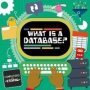 What Is A Database?   Hardcover