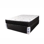 Delta Pillow-top Queen Base Set
