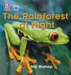 The Rainforest At Night: Band 04 BLUE