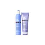 Silver Shine Bundle