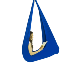 Sensory Swing - Blue