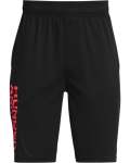 Boys' Ua Prototype 2.0 Wordmark Shorts - BLACK-001 Ysm