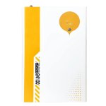 25.6V 100AH 2.56KWH Lithium Battery - LIFEPO4 Lb