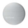 Aerobie Aeropress Stainless Steel Filter - Aeropress XL