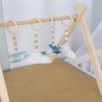 Baby Gym Themed Dangles Blue Plane And Clouds