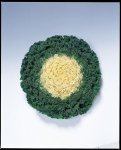 Kale Kamome White Seed - 500 Raw Seed