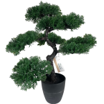 317220120-3 Bonsai Tree In Pot 50CM