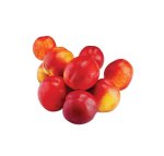 Nectarine Alpine Tree 10LT