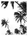 Coco Island 4 Art Print - A4