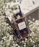 Yves Saint Laurent Babycat Decants samples