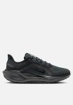 Nike Pegasus 41 Gore-tex