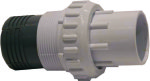 Pincho Pool Skim - Insert Union - 50MM