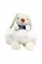 Newborn Baby Gift Set - Muslin Swaddle Blanket Beanie Mittens Bib